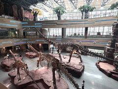 -安徽省地质博物馆