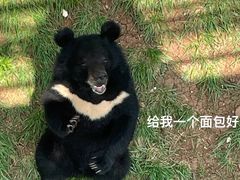-合肥野生动物园