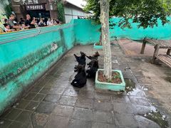 -西霞口神雕山野生动物世界