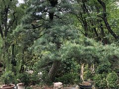 -贵州省植物园