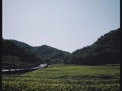 -宁波柏悦酒店·钱湖渔港