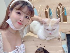 -Umiao与猫咖啡 猫咖