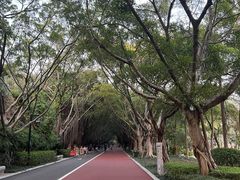 -南宁南湖公园