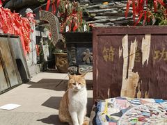 -终南山南五台景区