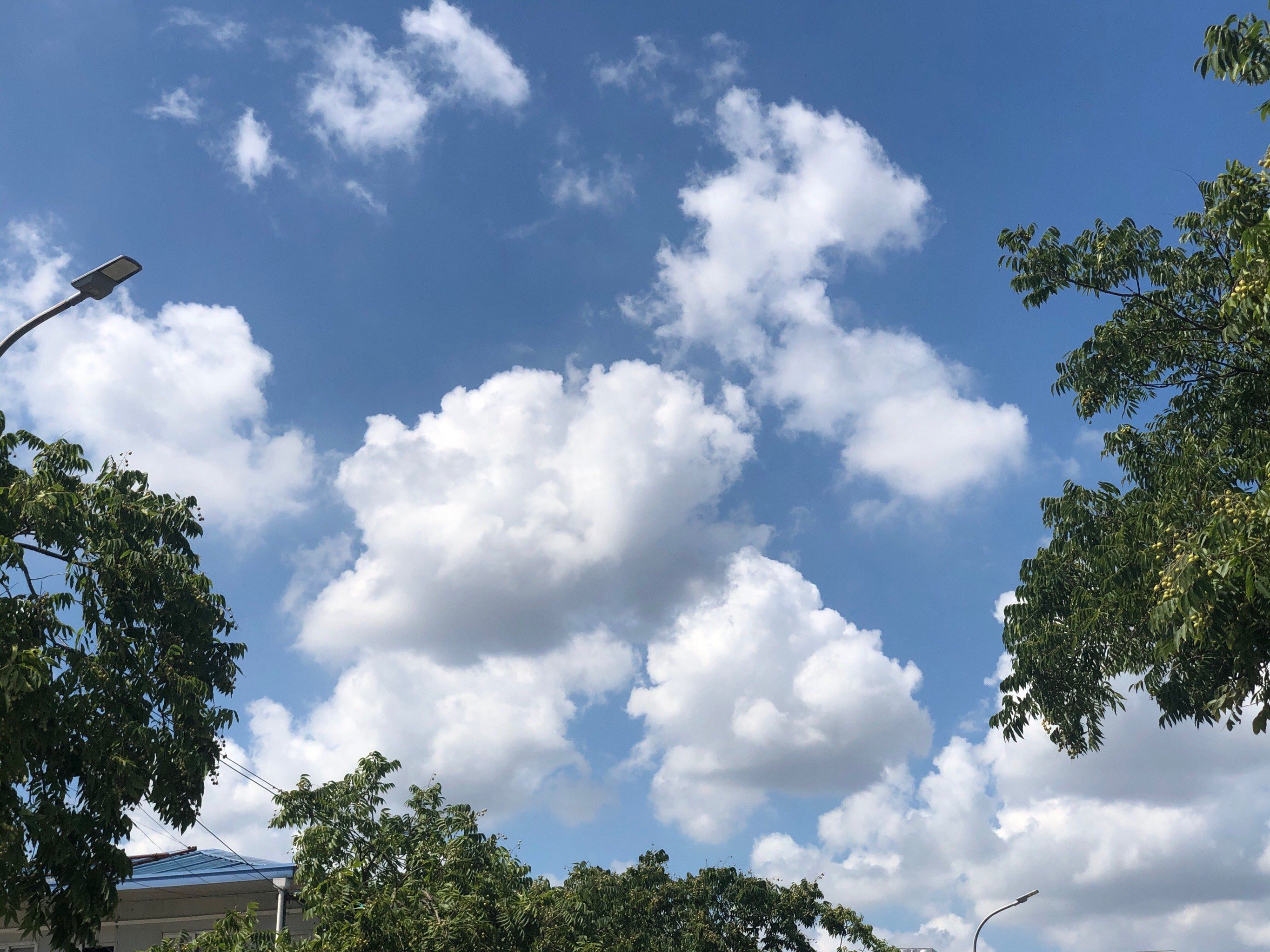 随手拍天空云朵 感觉天空就像出嫁的新娘