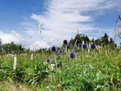 -白草畔自然风景区
