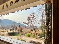 -塔川景区
