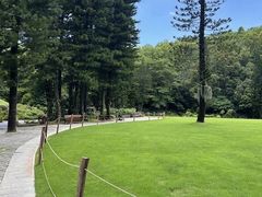 -深圳仙湖植物园