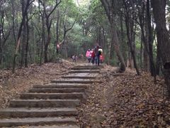 iphone_upload_pic-西湖风景区十里琅珰-五云山