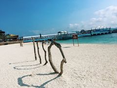 -蜈支洲岛珊瑚酒店临海阁中餐厅