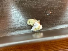 -老柴枝猪脚饭(窑岭店)