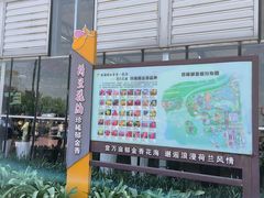 -荷兰花海