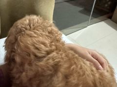 -巧手推拿中心(盲人推拿)