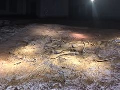 -世界恐龙谷景区