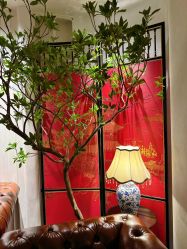 -花嫁丽舍婚礼殿堂(世博江景店)