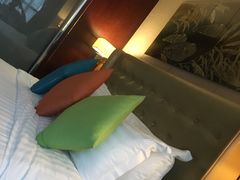 -成都明宇丽雅饭店