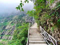 -瓦屋山景区