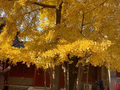 -承恩寺