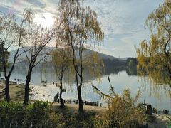 -长广溪湿地公园