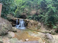 -南海湾森林生态园