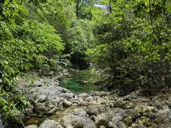 -石台牯牛降景区