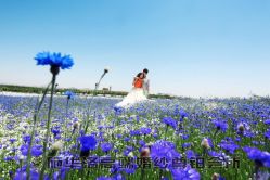 -施华洛婚纱摄影会所(范阳中路店)