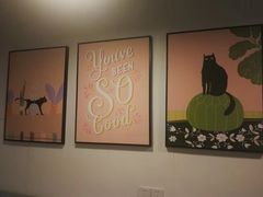 -有猫主题·治愈系猫咖(曾厝垵店)