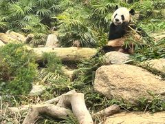 -石排湾郊野公园