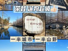 -白水寺森林公园