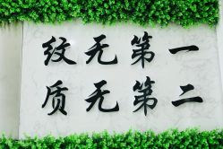 -臣丽纹眉品牌连锁