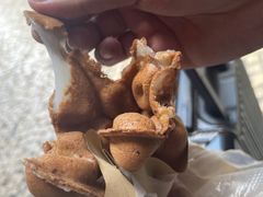 -洪馨椰子