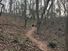 -南京市江宁方山