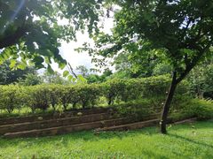 -东莞植物园