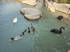 -海合安武汉极地海洋公园