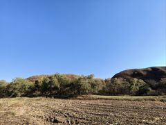 -御道口草原森林风景区