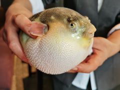 -永安鱼庄·镇江菜(东吴路店)