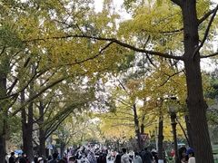-八大关景区