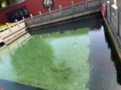 -百脉泉景区