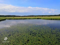 -塞罕坝国家级自然保护区