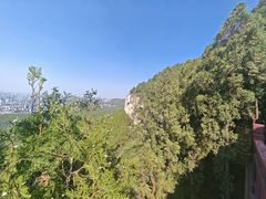 -佛慧山