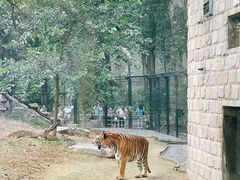 -北京野生动物园