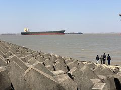 -上海滨江森林公园