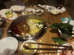 -青瓷火锅料理(西单大悦城店)