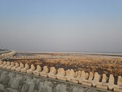 -南汇嘴观海公园