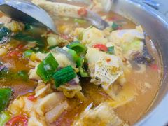 -全乐鱼馆·淳牌有机鱼直营店