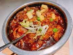-佬肥猫(国华广场店)