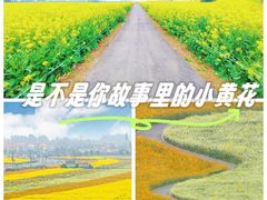 -中国天府农业博览园