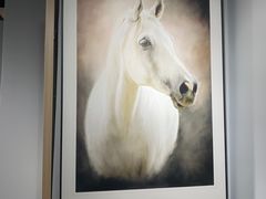 -星光摄影器材城