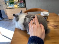 -小意思咖啡店(草桥店)