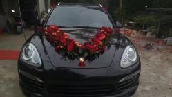 -蚂蚁婚车